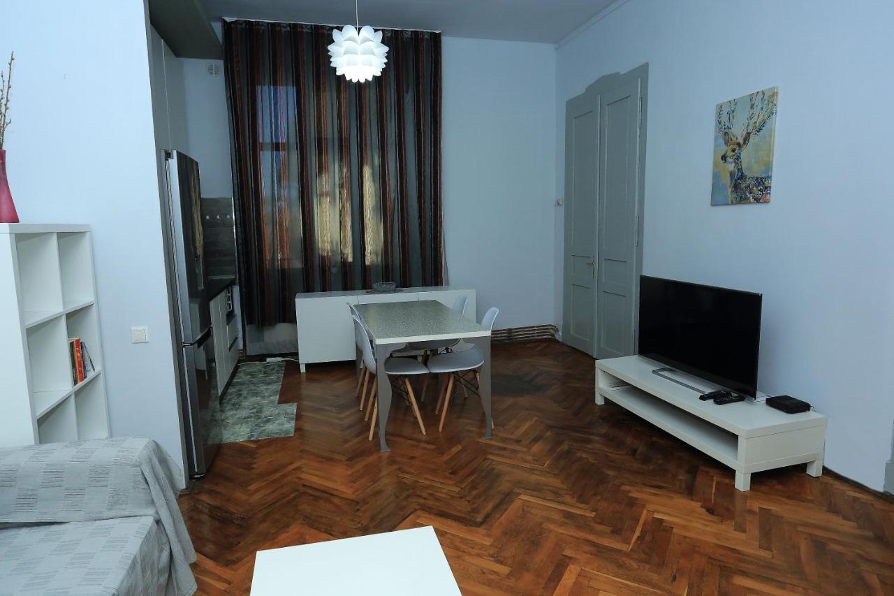 Napoca Central Apartment クルージュ＝ナポカ エクステリア 写真
