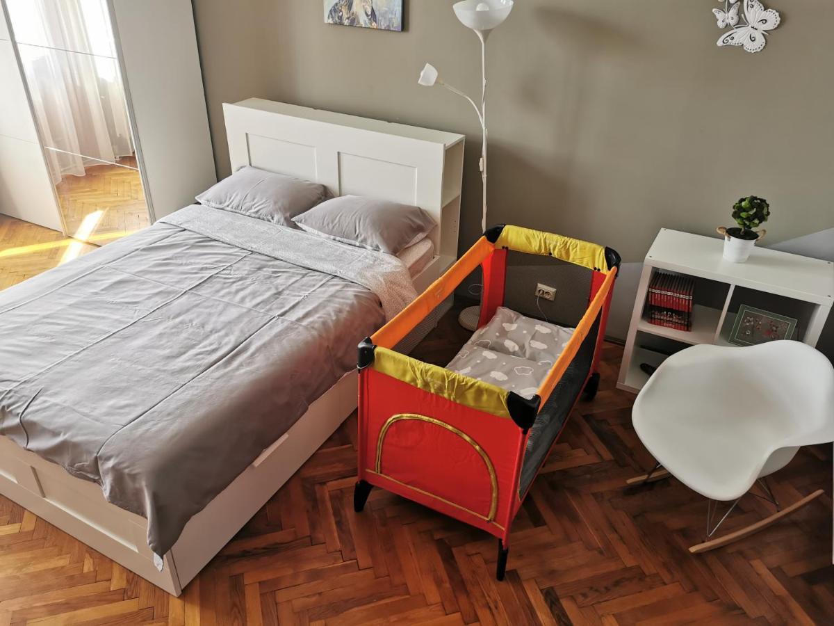Napoca Central Apartment クルージュ＝ナポカ エクステリア 写真